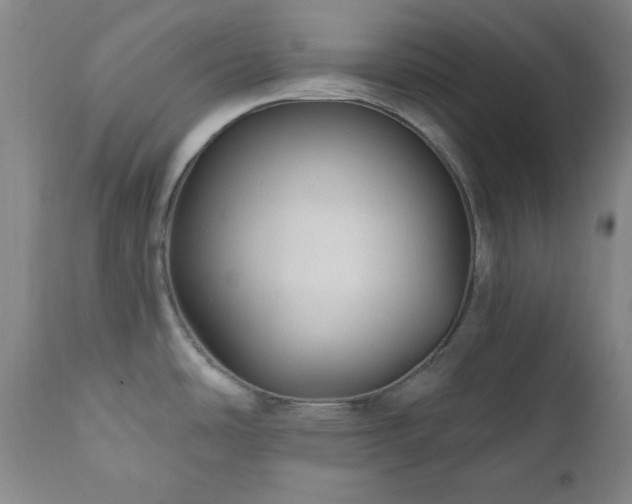 X0000111041486200906251349