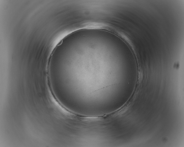 X0000111041487200906251349