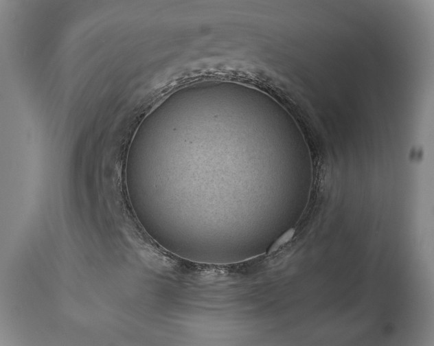 X0000111041489200906251348
