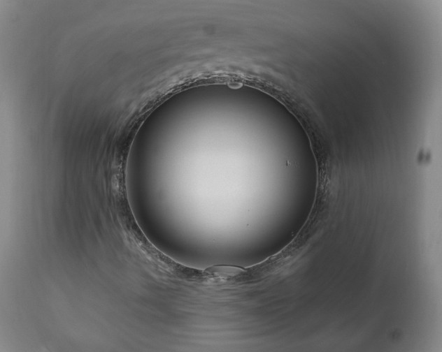 X0000111041490200906251348