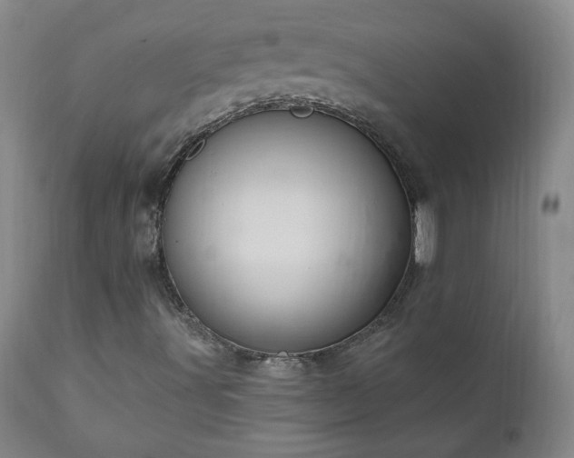 X0000111041491200906251348