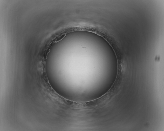 X0000111041493200906251348