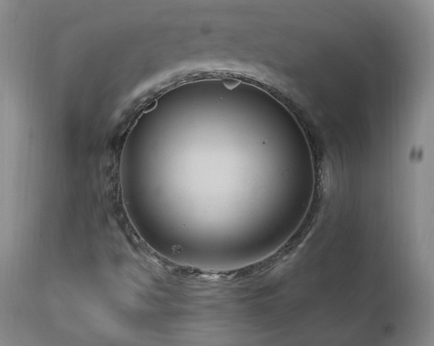 X0000111041494200906251348