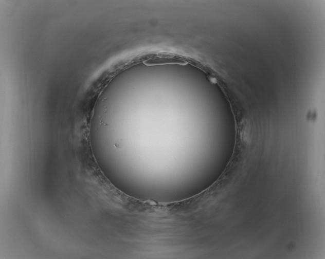 X0000111041495200906251348