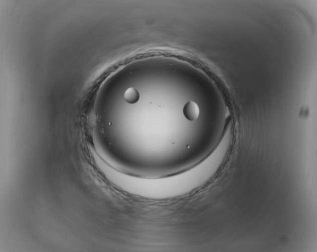 X0000111041496200906251348