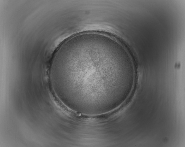 X0000111041497200906251348