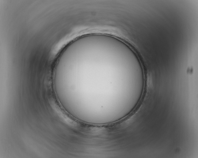 X0000111041498200906251348
