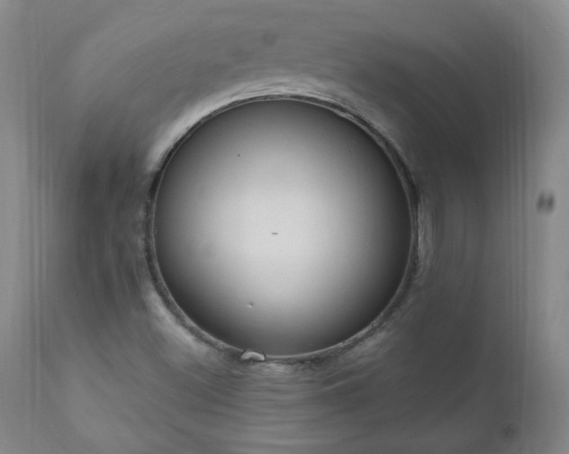X0000111041500200906251348