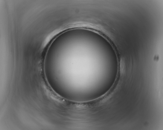 X0000111041501200906251348