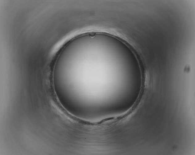 X0000111041502200906251349