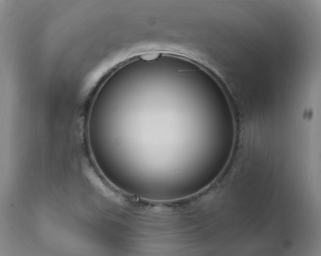 X0000111041503200906251349