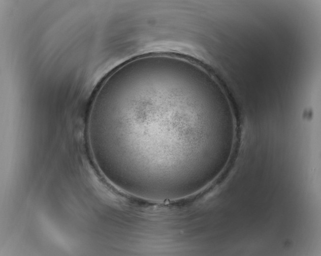 X0000111041505200906251349