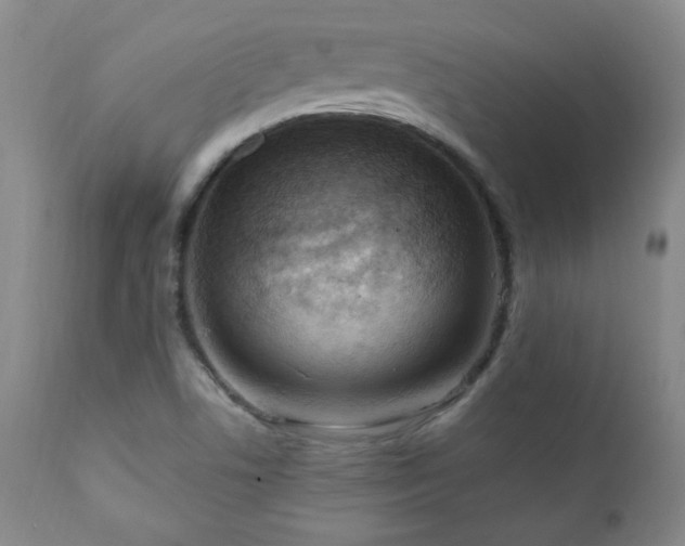 X0000111041506200906251349