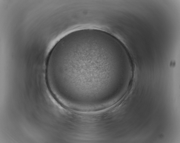 X0000111041508200906251349