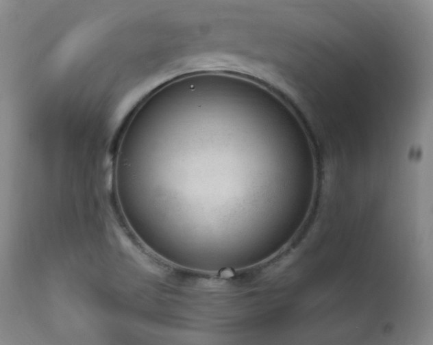 X0000111041509200906251349
