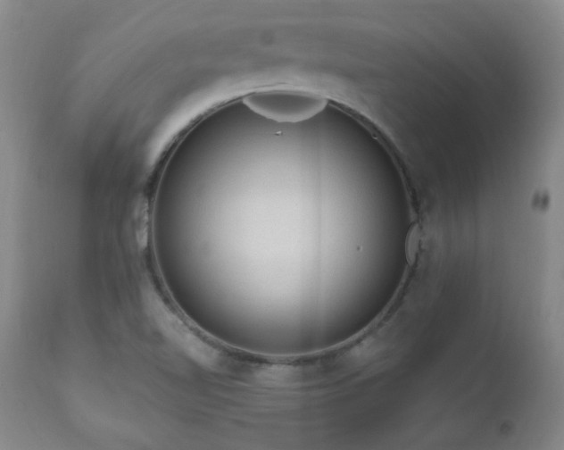 X0000111041510200906251349