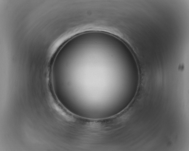X0000111041511200906251349