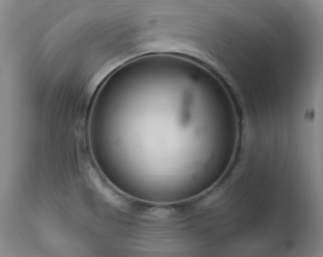 X0000111041513200906251349
