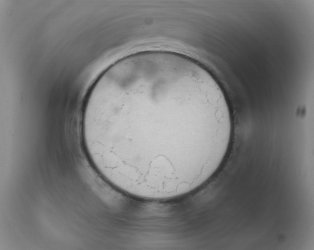 X0000111041514200906251349