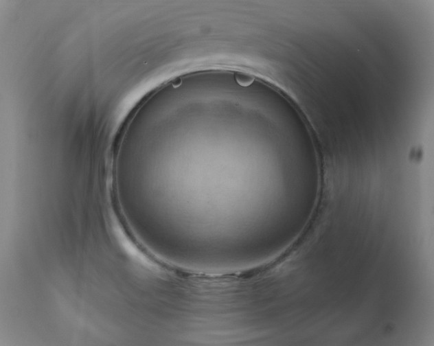 X0000111041515200906251349
