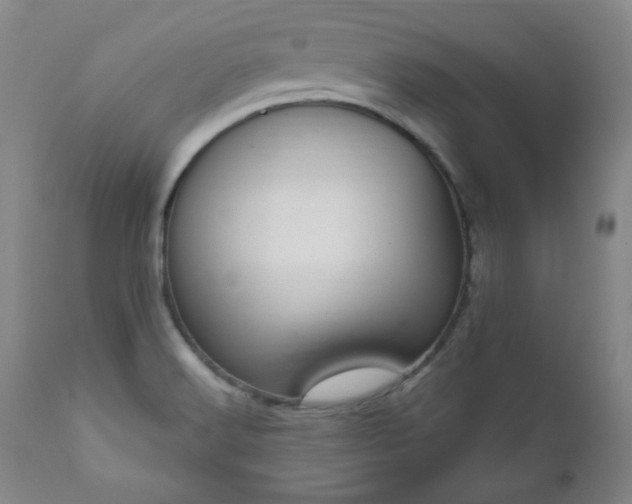 X0000111041516200906251349