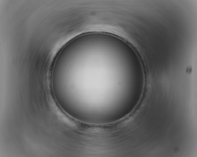 X0000111041517200906251349
