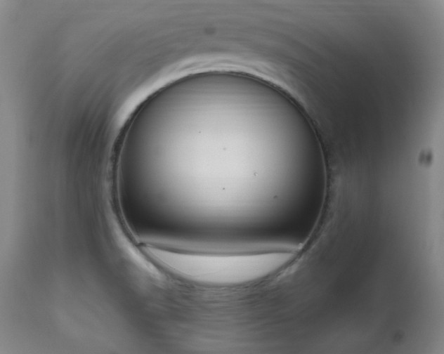X0000111041518200906251349