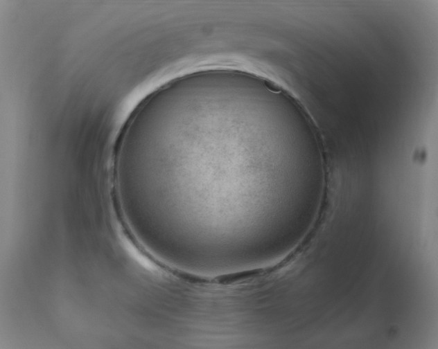 X0000111041519200906251349