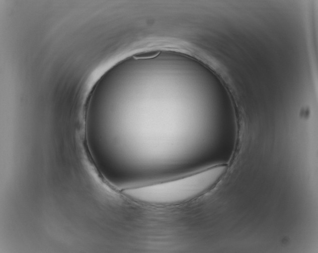X0000111041520200906251349