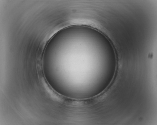 X0000111041521200906251349