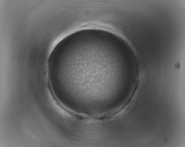 X0000111041522200906251349