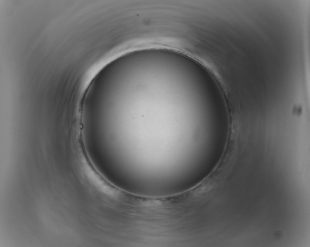 X0000111041524200906251349