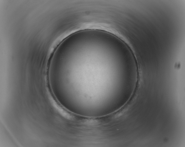 X0000111041525200906251349