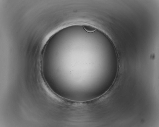 X0000111041526200906251349