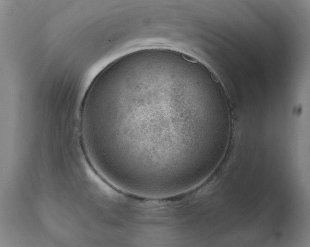 X0000111041527200906251349