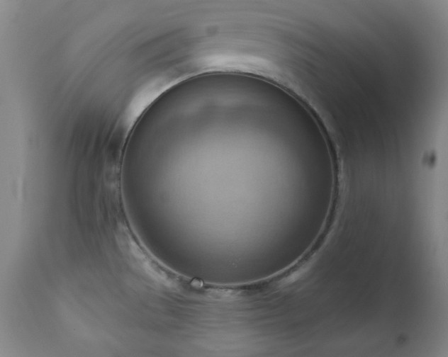X0000111041529200906251349