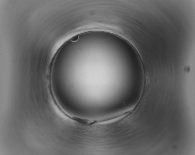 X0000111041531200906251349