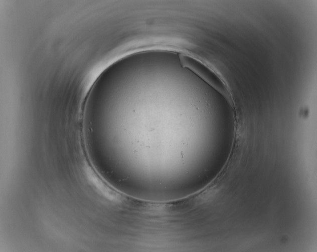 X0000111041532200906251349