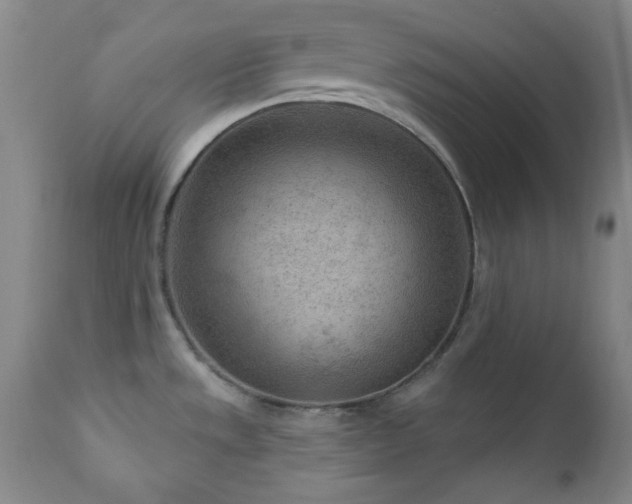 X0000111041533200906251349