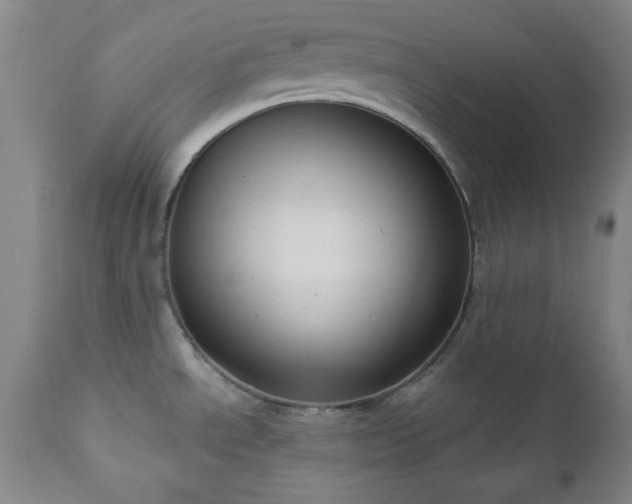 X0000111041534200906251349