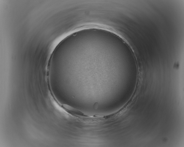 X0000111041535200906251349