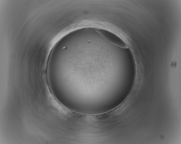 X0000111041536200906251349