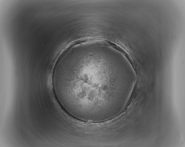 X0000111040002200907021608