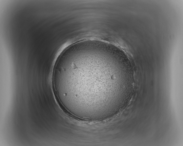 X0000111040003200907021608