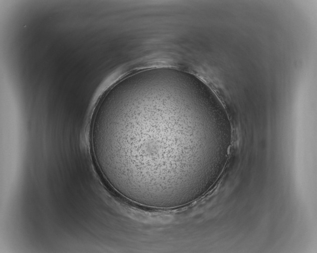 X0000111040004200907021608