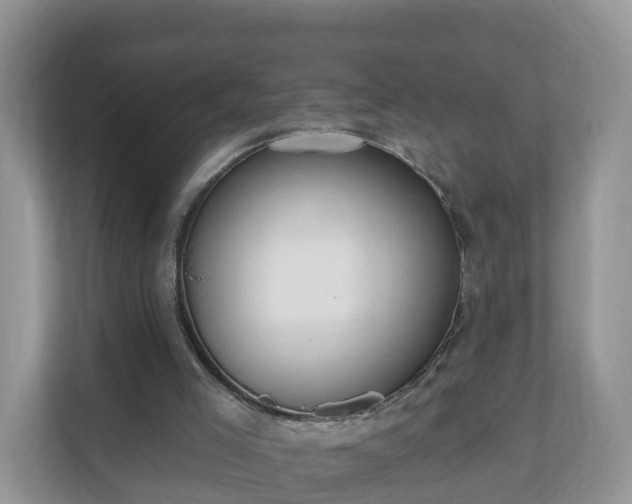 X0000111040005200907021608