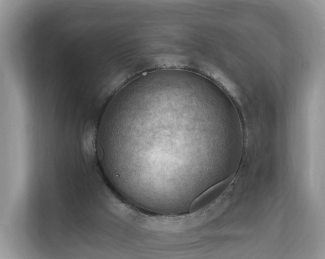 X0000111040009200907021608