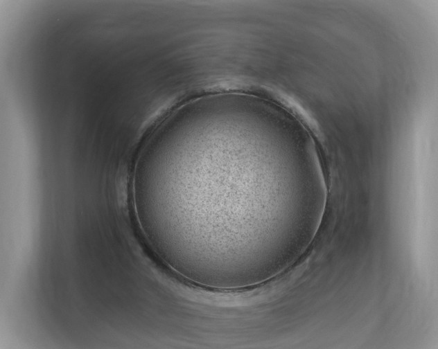 X0000111040010200907021608