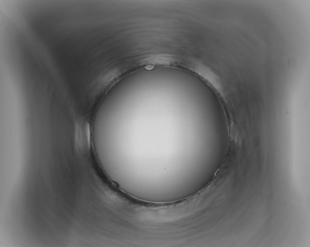 X0000111040013200907021608