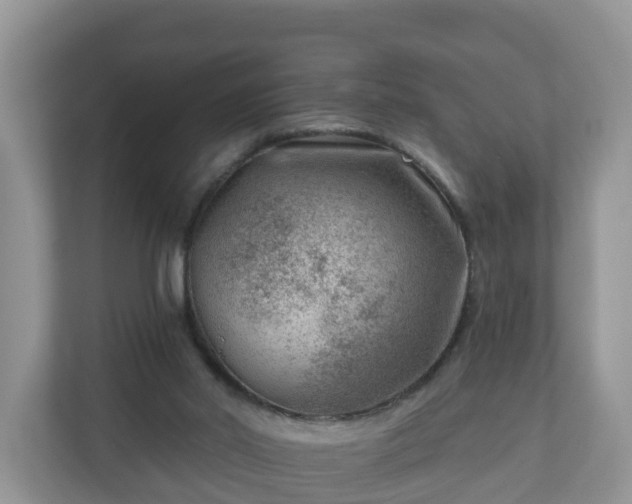 X0000111040014200907021608